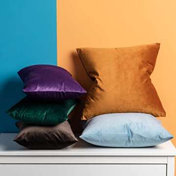 JUSPURBET Coffee Velvet Throw Pillow Covers 20x20 inch Set of 2 for Living Room Couch Bedroom Decorative Soft Cushion Cases with Invisible Zipper
