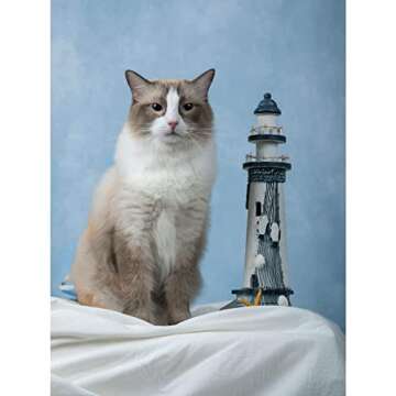 Kate 5x7ft/1.5x2.2m Blue Backdrop Texture Baby Blue Portrait Photo Shoot Studio Props