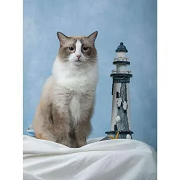 Kate 5x7ft/1.5x2.2m Blue Backdrop Texture Baby Blue Portrait Photo Shoot Studio Props