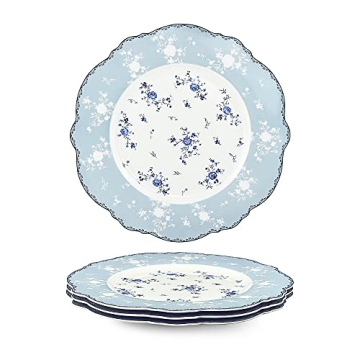 Fanquare 10 Inch Porcelain Dinner Plates Set of 4