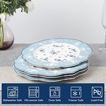 Fanquare 10 Inch Porcelain Dinner Plates Set of 4