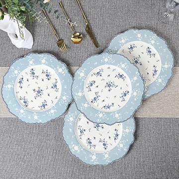 Fanquare 10 Inch Porcelain Dinner Plates Set of 4