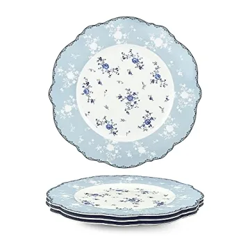 Fanquare 10 Inch Porcelain Dinner Plates Set of 4
