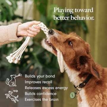 LAY LO Natural, Non-Toxic Cotton Rope Toys for Small and Medium Dogs | 2-Pack | Includes Live Suppor...