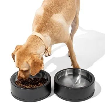 Wild One Black Stainless Steel Dog Bowl Set - Non-Slip Design