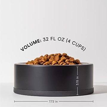 Wild One Black Stainless Steel Dog Bowl Set - Non-Slip Design