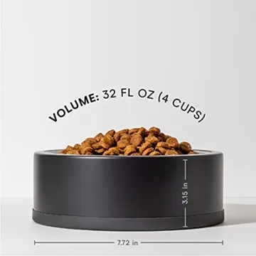 Wild One Black Stainless Steel Dog Bowl Set - Non-Slip Design