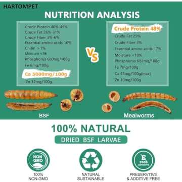 GRUBSFARM HARTOMPET Nutrient-Rich Black Soldier Fly Larvae
