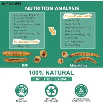 GRUBSFARM HARTOMPET Nutrient-Rich Black Soldier Fly Larvae