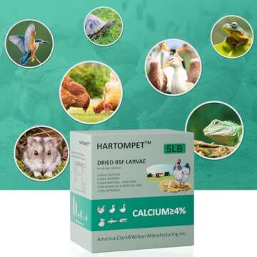 GRUBSFARM HARTOMPET Nutrient-Rich Black Soldier Fly Larvae