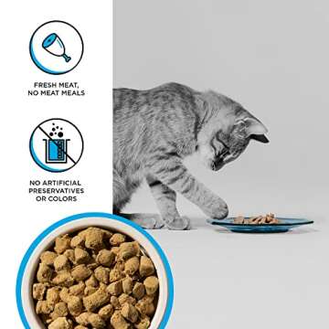 BIXBI Rawbble Freeze Dried Cat Food, Chicken & Salmon Recipe, 10 oz - 95% Meat and Organs, No Fillers - Pantry-Friendly Raw Cat Food for Meal, Treat or Food Topper - USA Made in Small Batches