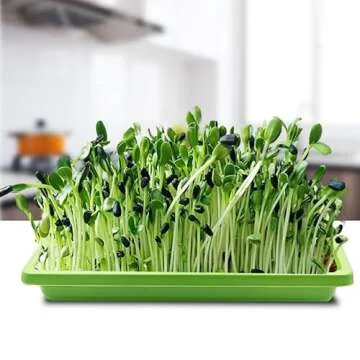 RooTrimmer 10-Pack Microgreens Seed Starter Grow Trays for Seedlings, Shallow Seeding Germination Flats Non Standard 1010 Tray no Holes Plant Sprouter Propogation Tray