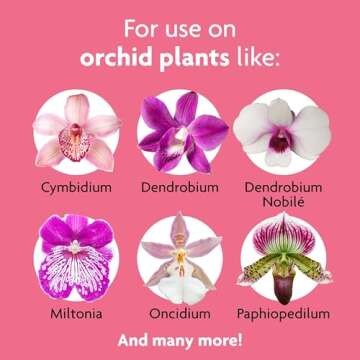 Miracle-Gro Ready to Use Orchid Plant Food Mist, Indoor Orchid Plants, 8 oz, 3-Pack