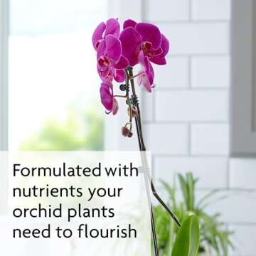 Miracle-Gro Ready to Use Orchid Plant Food Mist, Indoor Orchid Plants, 8 oz, 3-Pack