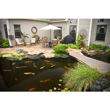 Aquascape Pond Detoxifier, 1 Gallon Liquid Water Treatment