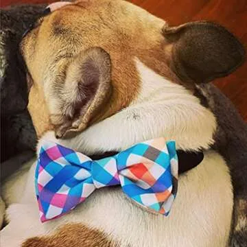 Stylish Huxley & Kent Bow Tie for Pets | Perfect Fit