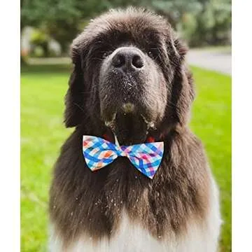 Stylish Huxley & Kent Bow Tie for Pets | Perfect Fit