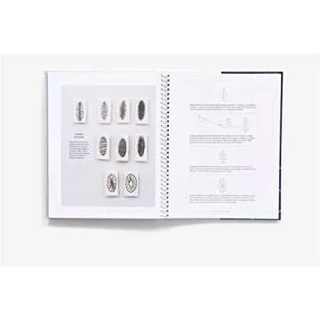 The Geometry of Hand-Sewing: A Romance in Stitches and Embroidery from Alabama Chanin and The School of Making (Alabama Studio)