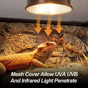 WACOOL TERRA Large Reptile Tank 25 Gallon, 360°Full Vision Glass Reptile Terrarium with Top Mesh Lid for Beaded Dragon Lizard Gecko Snake Hermit Crab Use, 30"(W) X 12"(D) X 16"（H）