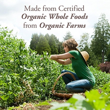 Garden of Life Organic Whole Food B12 Spray for Energy