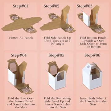 Spec101 Disposable Cake Carrier 10-Pack - 14x14x16in