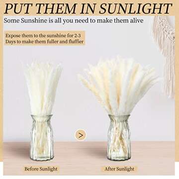 Janinka 200 Pcs Natural Dried Pampas Grass Decor 17 Inch White Pampas Grass Dried Pampas Grass Bouquet Reed Pampas for Wedding Baby Shower Party Farmhouse Boho Home Decor