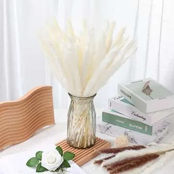 Janinka 200 Natural Dried White Pampas Grass Decor