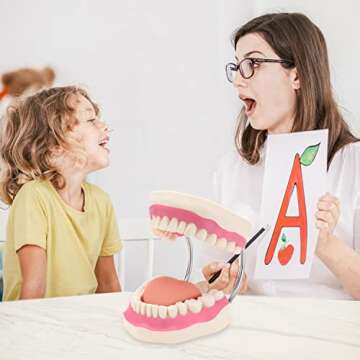 RONTEN Dental Teeth Care Model-Mouth Model for Speech Therapy, Enlarged 6 Times Standard Size, for Both Dental and Speech Therapy Training. Includes Matching Giant Toothbrush