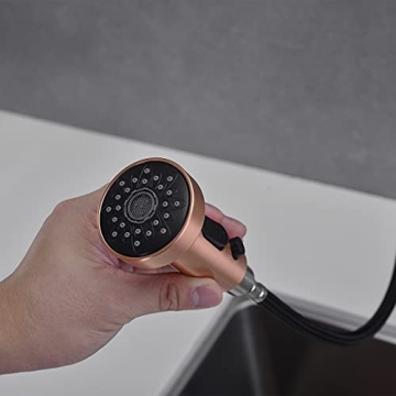 Avola Kitchen Faucet with Pull Down Sprayer in Copper Finish