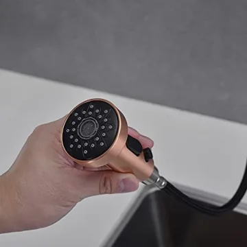 Avola Kitchen Faucet with Pull Down Sprayer in Copper Finish