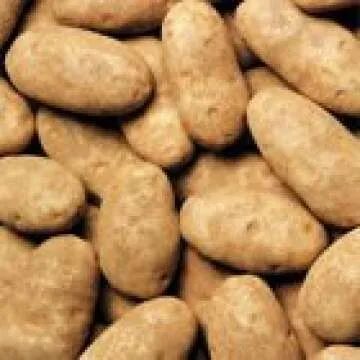 Premium Fresh Russet Idaho Potatoes, 4 Pound Case for Healthy Meals