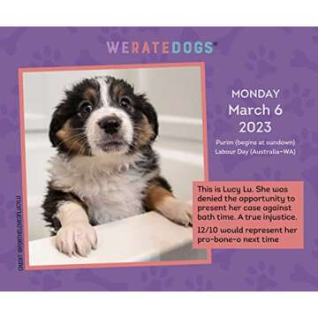 WeRateDogs 2023 Day-to-Day Calendar