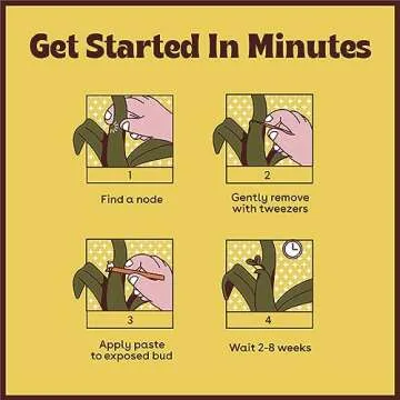 Keiki Paste for Plants to Clone & Create New Growth - 2X The Paste - Rapid Start Cloning Gel for Plants - Keiki Cloning Paste for Plants Kit- Plant Growth Hormone Gel - 0.5oz