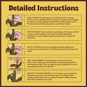 Keiki Paste for Plants to Clone & Create New Growth - 2X The Paste - Rapid Start Cloning Gel for Plants - Keiki Cloning Paste for Plants Kit- Plant Growth Hormone Gel - 0.5oz