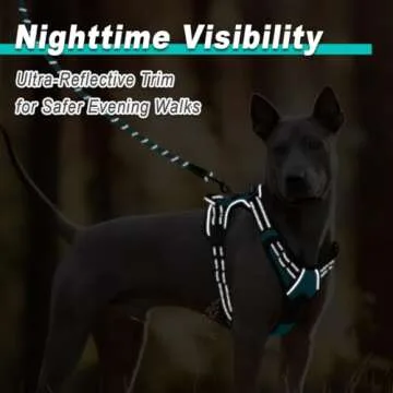 BARKBAY Dog Harness No Pull for Large Dogs - Adjustable, Reflective, Comfortable, No Choke, Heavy-Duty - Perfect for Outdoor Training, Walking, and Hiking - Strong & Durable - L & Blue