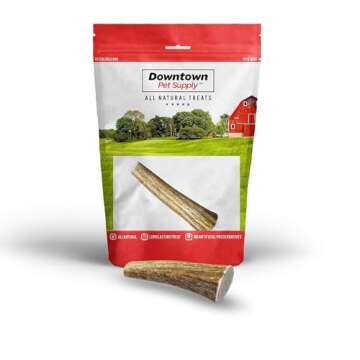 Downtown Pet Supply - Elk Antlers for Dogs - Premium Dog Bones Rich in Calcium, Phosphorus, Vitamins...