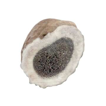 Downtown Pet Supply - Elk Antlers for Dogs - Premium Dog Bones Rich in Calcium, Phosphorus, Vitamins & Minerals - Dog Dental Treats & Natural Dog Chews - Split - 4-5.5in - Small