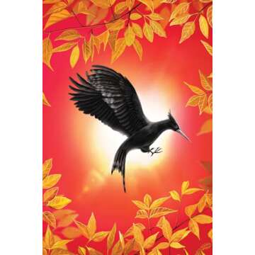 Buy The Deluxe Hunger Games Collection Today