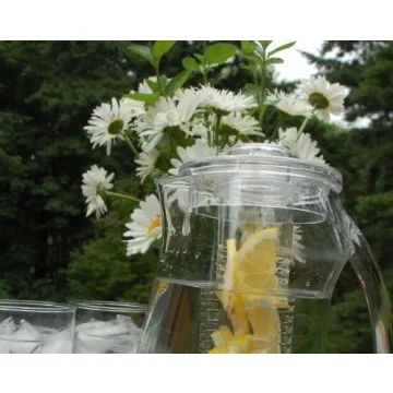 Prodyne 93 oz Fruit Infusion Flavor Pitcher
