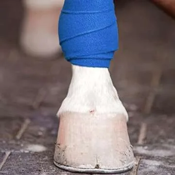 Colorful Self Adherent Bandage Wrap - 12 Pack for First Aid