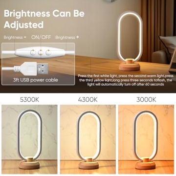 LONRISWAY Modern Desk Lamp Stylish Dimmable Lighting