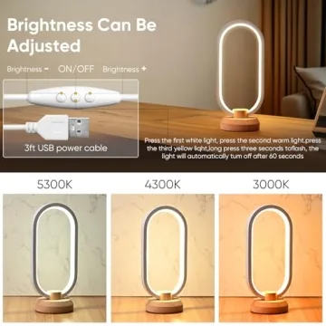 LONRISWAY Modern Desk Lamp Stylish Dimmable Lighting