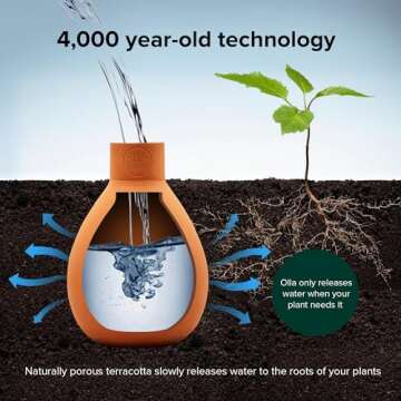 Olla Company Classic Pot - Eco-Friendly Self Watering