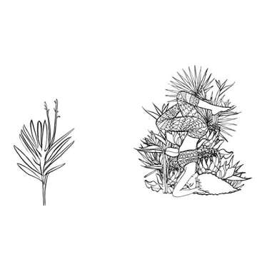 Self-care Colouring Book for Women: Patterns & Plants