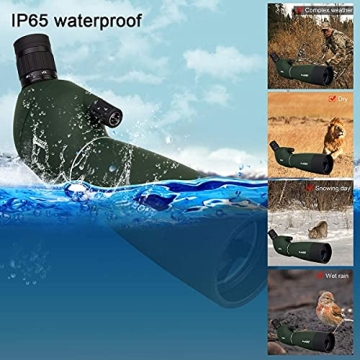 Affordable SVBONY SV28 Spotting Scope for Bird Watching