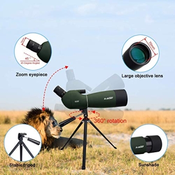 Affordable SVBONY SV28 Spotting Scope for Bird Watching