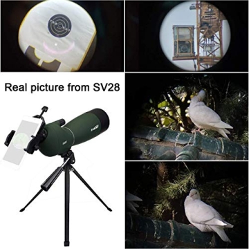 Affordable SVBONY SV28 Spotting Scope for Bird Watching