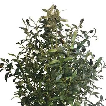 MARKABLE Artificial Olive Tree Potted Olive Plant Tall 70.9" Super Dense Branches Olive Fruits for Indoor Decor Outdoor Modern Home Office Living Room Office Bathroom Gift, 70.9 Inch Faux Olive Tree