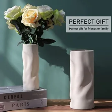 Abbittar Ceramic Vase Set for Elegant Home Decor
