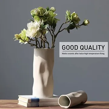 Abbittar Ceramic Vase Set for Elegant Home Decor